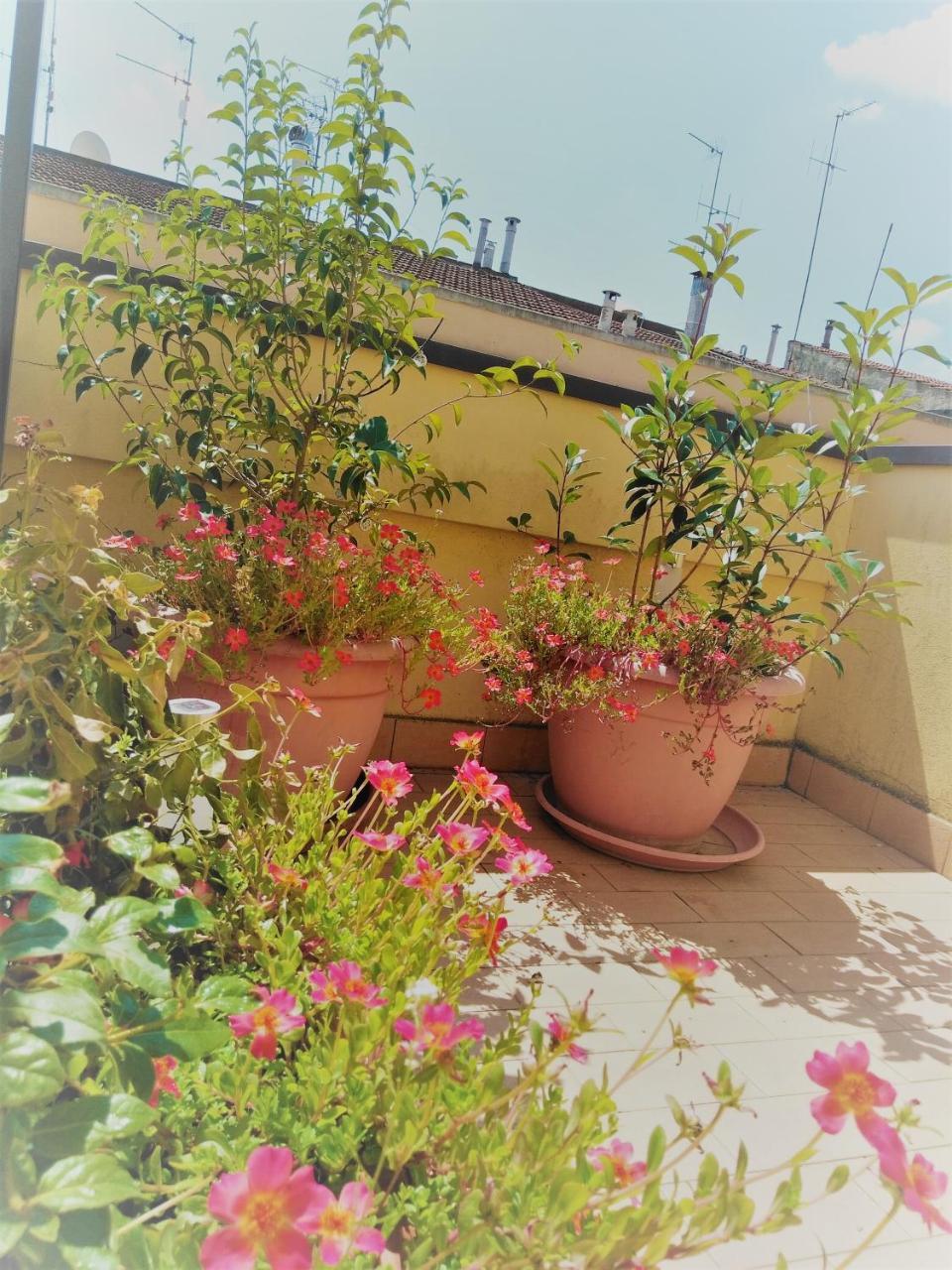 Appartamento Malu Matera Exteriör bild