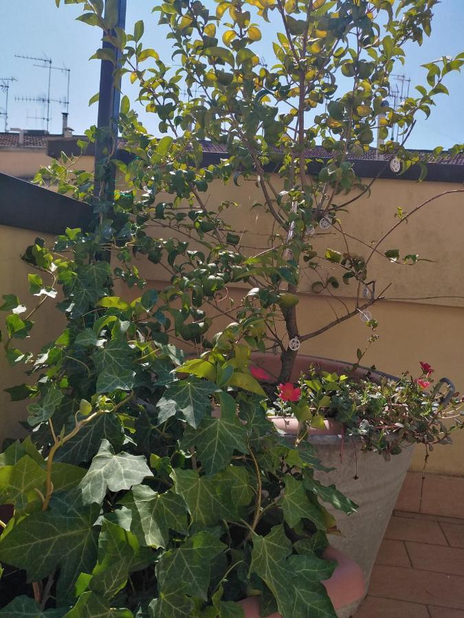 Appartamento Malu Matera Exteriör bild